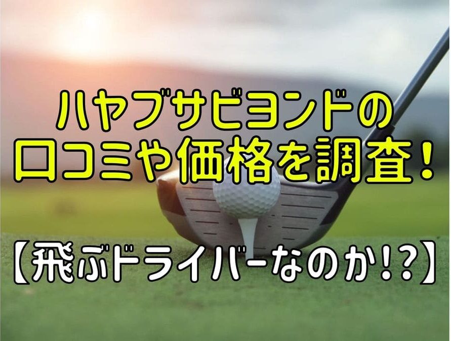 ハヤブサビヨンドの口コミや価格を調査！